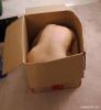 post-75-1294487915,4719_thumb.jpg
