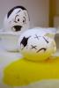 post-75-0-94721700-1303634466_thumb.jpg