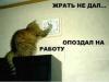 post-13-0-47161500-1311447935_thumb.jpeg