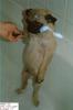 post-75-0-81995800-1311526131_thumb.jpg