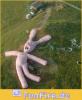post-75-0-49142500-1314368571_thumb.jpg