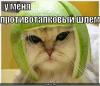 post-75-0-03550700-1316004490_thumb.jpg