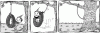 post-32-1292746709,0518_thumb.gif